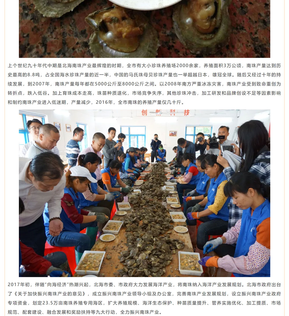 古老南珠，綻放異彩