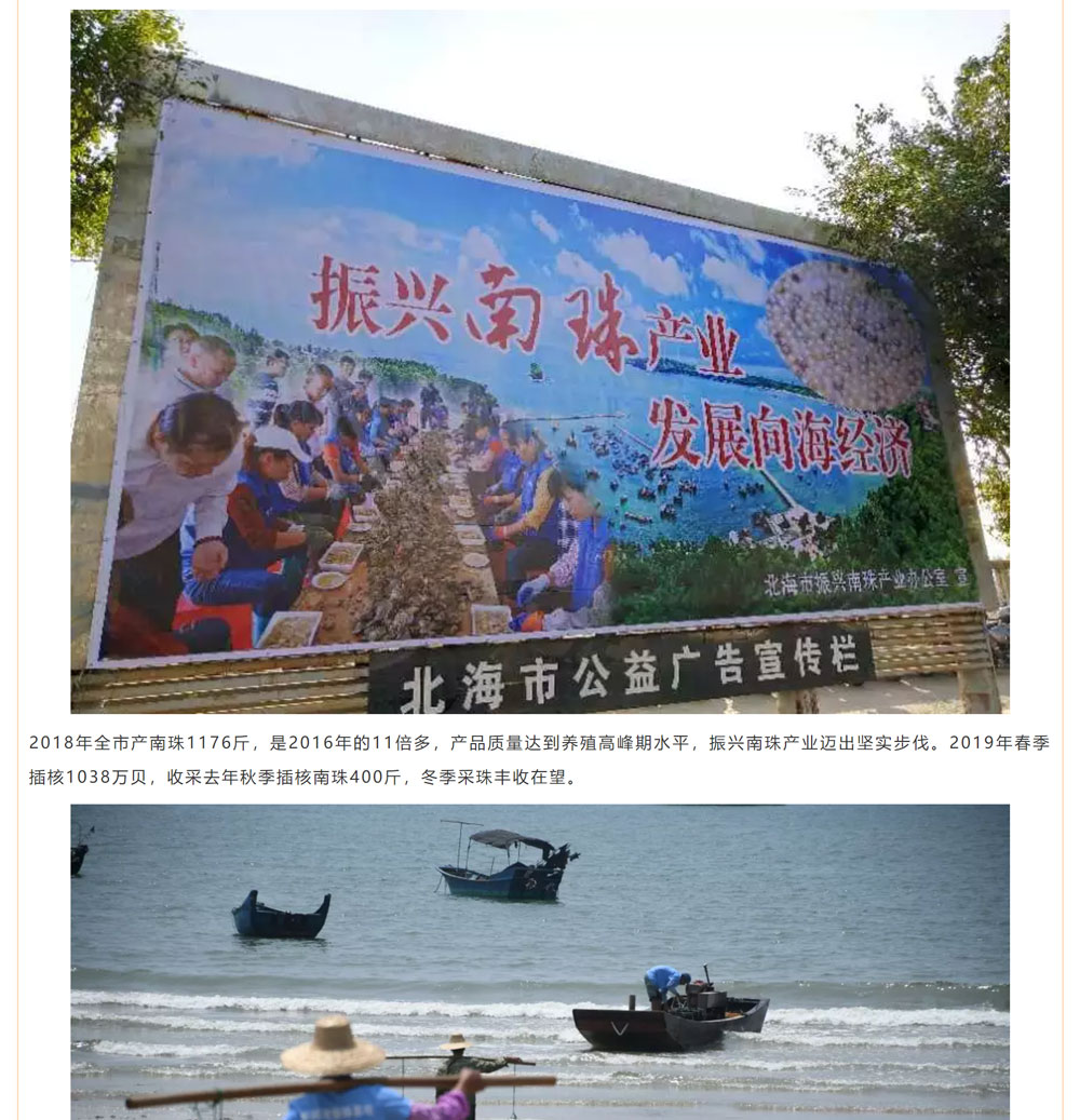 古老南珠，綻放異彩